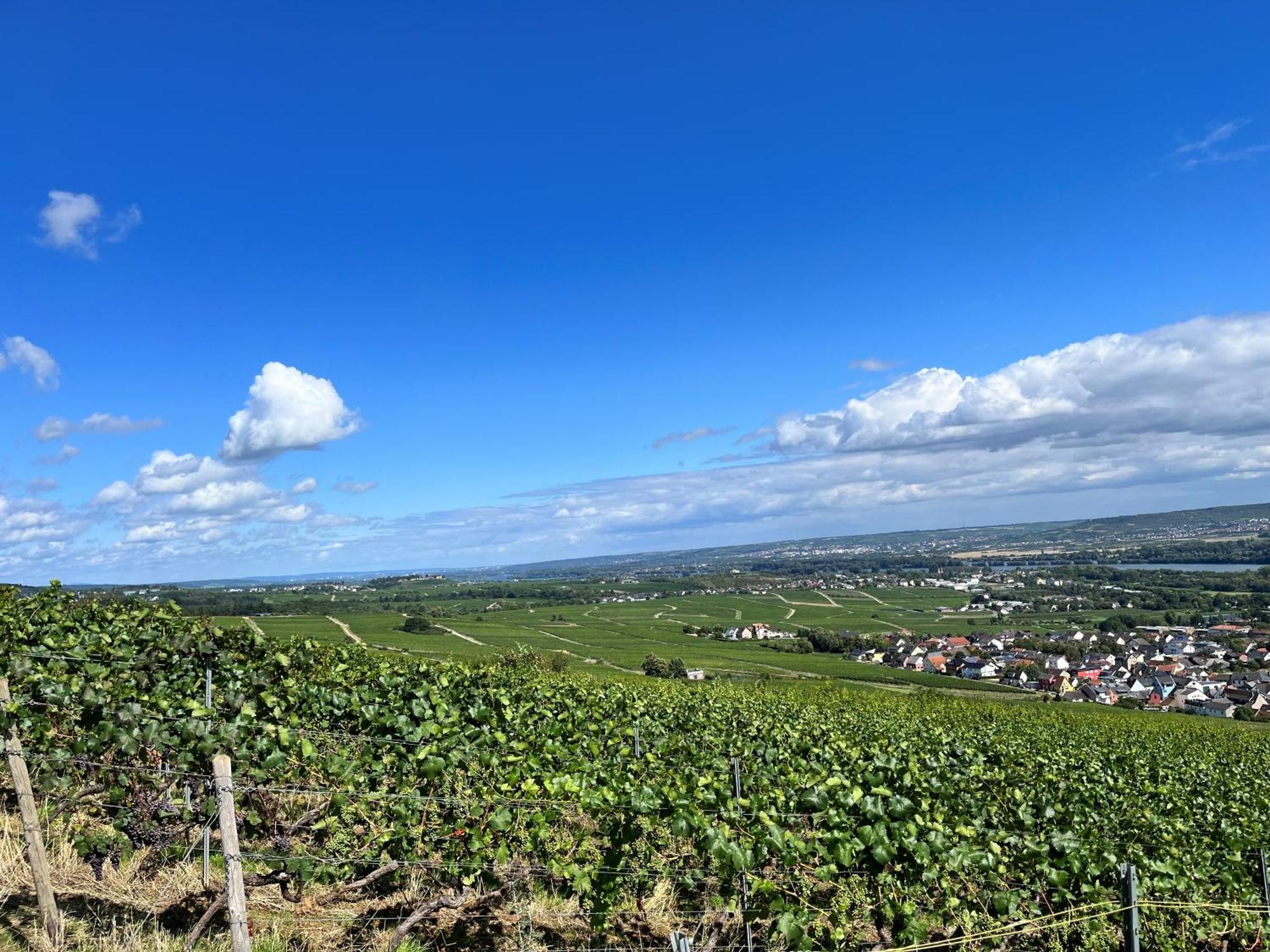 Haus Neugebauer-Garni, Johannisberg Eksteriør billede
